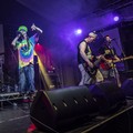 Click to enlarge GutterPunk - Professional Concert Photography